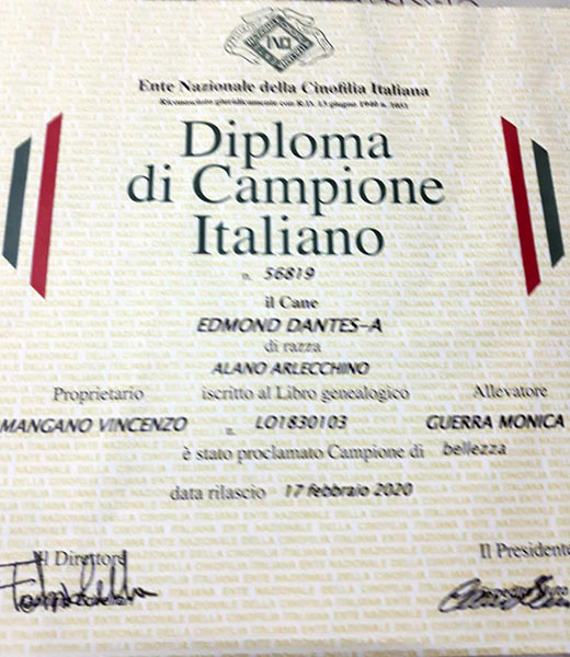 Diploma Ch. Italiano Edmond Dantes