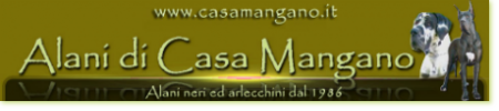 Banner Casa Mangano